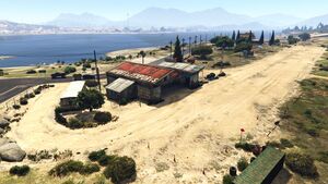 McKenzieField-GTAVee-Header.jpg