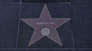 WalkofFame-GTAVee-MarvinTrill.jpg