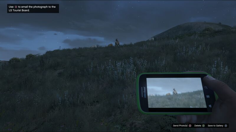 파일:Wildlife Photography Challenge GTAVe Deer.jpg