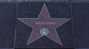 WalkofFame-GTAVee-MaddDogg.jpg