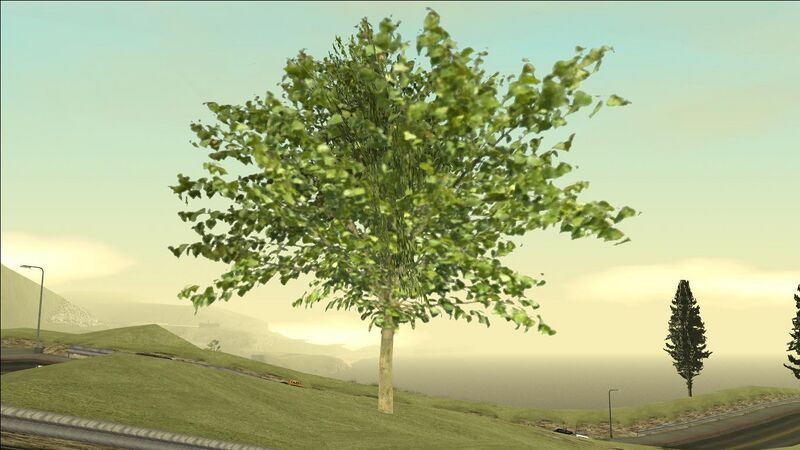 파일:FicusTree-GTASA-SS1.jpg