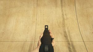 CombatShotgun-GTAO-Sights.jpg