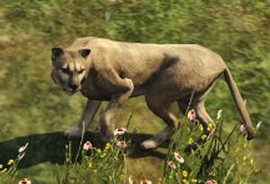Gta5cougar.jpg