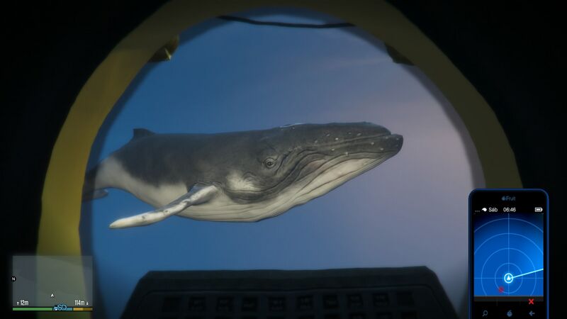 파일:Humpback Whale-GTAV-Seen-From-Sub.jpg