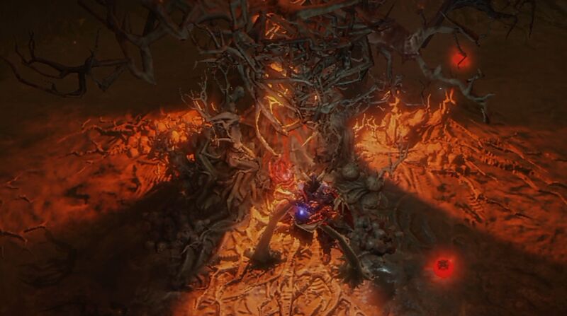파일:Old Growth-dormant.jpg