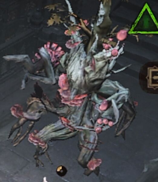 파일:Wood Wraith-Cyrangar.jpg