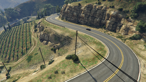 BuenVinoRoad-GTAV-Vineyards2.PNG