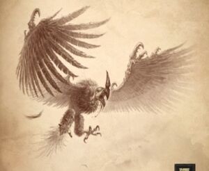 Dire Vulture DIHB.jpg