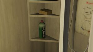 HornDeodorant-GTAV-InShower.jpg