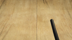 Nightstick-GTAV-FirstPerson.png