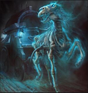 Haunted Carriage.jpg