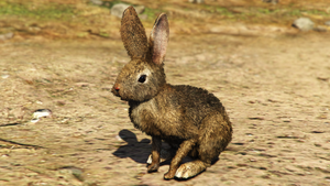 Rabbit-GTAVe-Var3.png