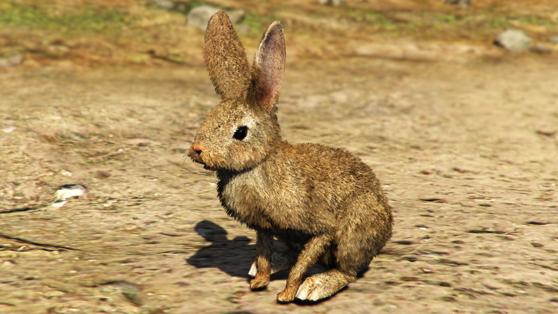 파일:Rabbit-GTAVe.png