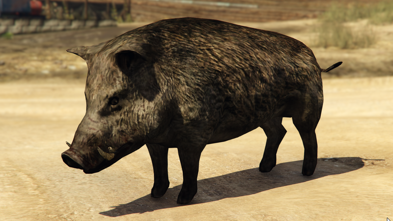 파일:Boar-GTAVe-Var4.png