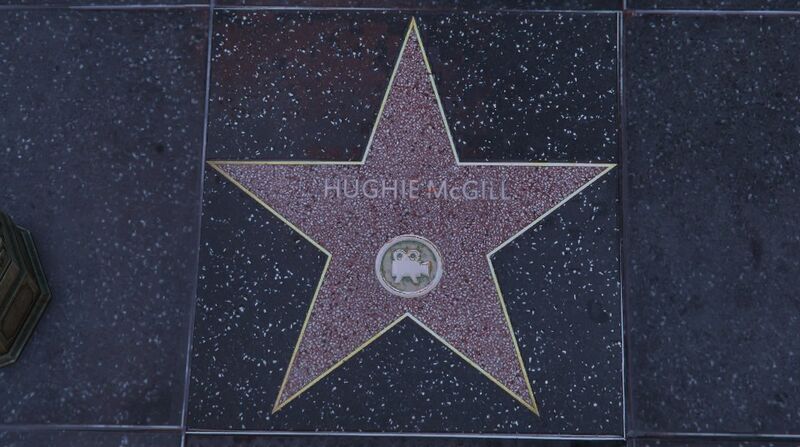 파일:WalkofFame-GTAVee-HughieMcGill.jpg