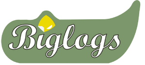 BigLogs-Logo.png