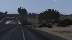 FortZancudo-GTAV-Ramp.jpg
