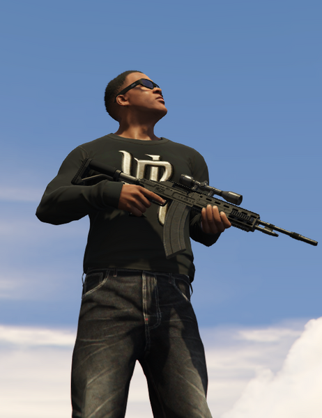 파일:FranklinClinton-GTAV-MarksmanRifle.PNG