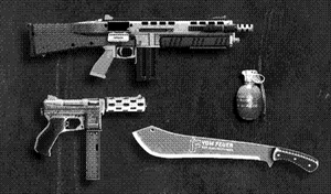 TheCayoPericoHeist-GTAO-PrepBoardImg-WeaponLoadout-01Aggressor.png