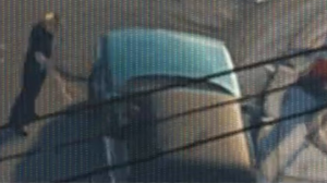 UnnamedDodgeDakotaPickupTruck-GTAVI-Trailer1.png
