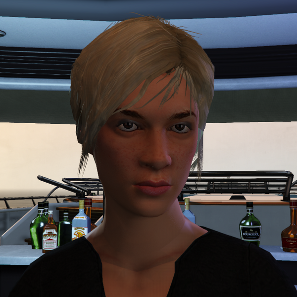 파일:YachtBartender-GTAO.png