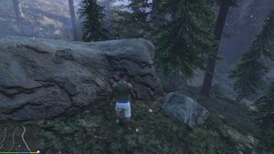 GoldenPeyote-GTAV-Sunday.jpg
