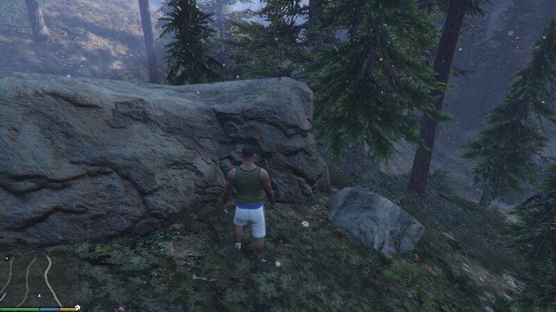 파일:GoldenPeyote-GTAV-Sunday.jpg