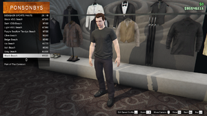 TheContract-GTAOe-MalePants-DesignerSportsPants26-BlackBeach.png