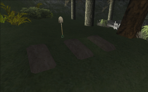 Catalina'sHideout-GTASA-ThreeGraves.png