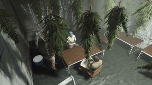 SmokeOnTheWaterWeek-GTAOe-WeedFarmDiscount.jpg