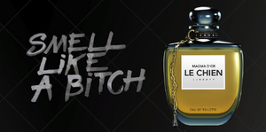 LeChien-GTAV-Magma d'or.png