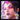Syndra