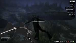 Wrecks-GTAO-CayoPerico-AirlinerMap.png