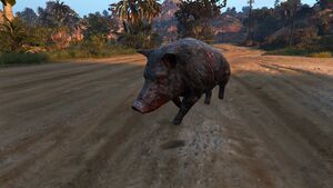 CayoPericoSurvival-GTAOee-PossesedBoar.jpg