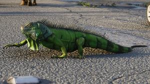 Iguana-GTAVI.png