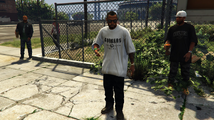 Grand Theft Auto V에 등장하는 카슨 애비뉴 패밀리.