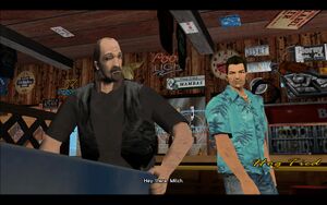 HogTied-GTAVC-SS2.jpg