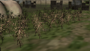 Weed-GTASA-Destroyed.png