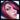 Fiora