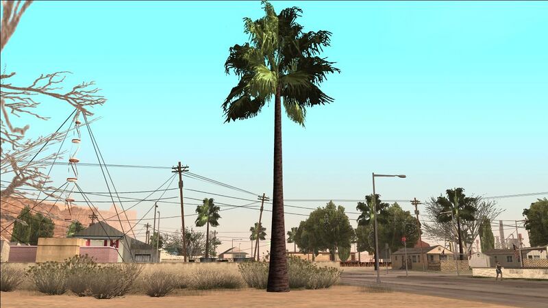 파일:PalmTree-GTASA-Countryside.jpg