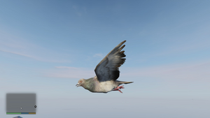 Peyote Plants Animals GTAVe Pigeon.png