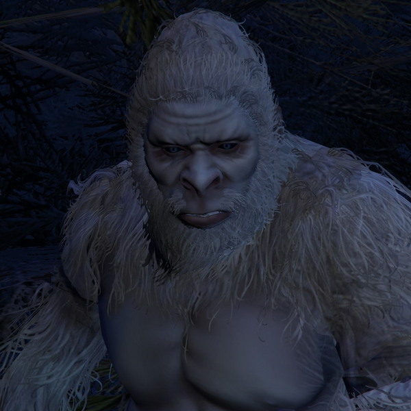 파일:Yeti-GTAOe-Portrait.png