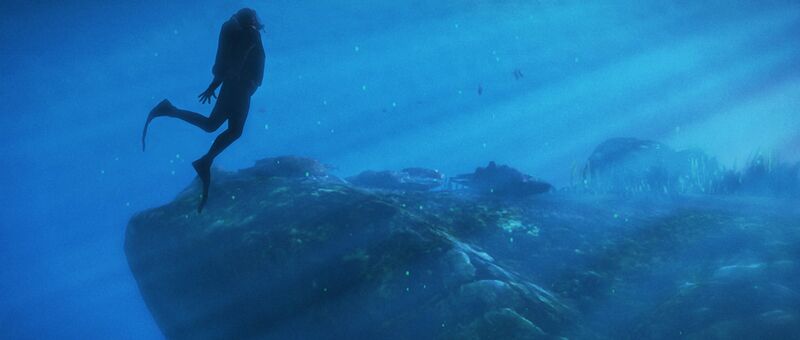 파일:Scubadiving-GTAV.jpg