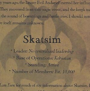 Skatsim.jpg