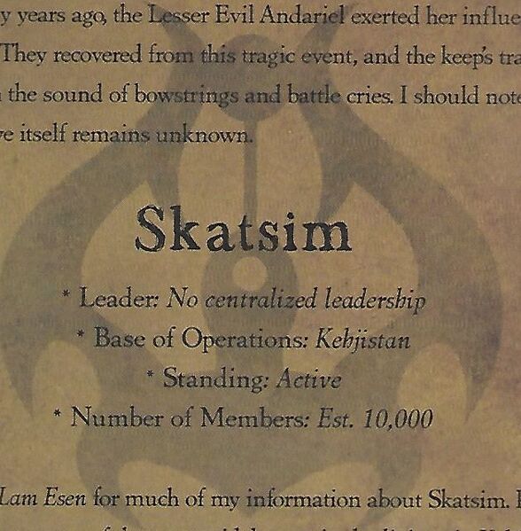 파일:Skatsim.jpg