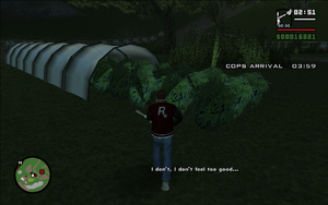 AreYouGoingToSanFierro-GTASA-SS22.png