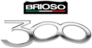 Brioso300-GTAO-AvdertBadge.png