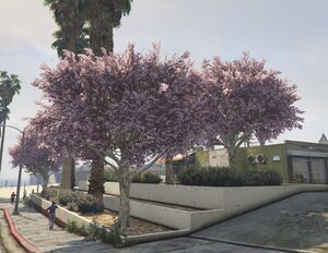 JacarandaTree-GTAV-SS2.jpg