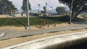 BestLaidPlans-GTAO-MirrorParkFirstTarget.png