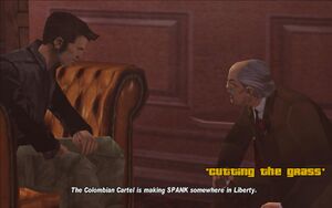 CuttingTheGrass-GTAIII-SS1.jpg